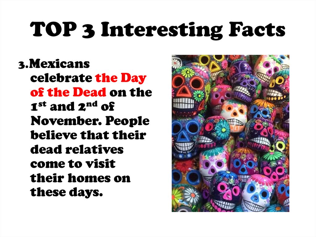 TOP 3 Interesting Facts