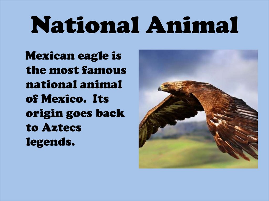 National Animal