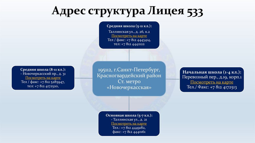 Адрес структура Лицея 533