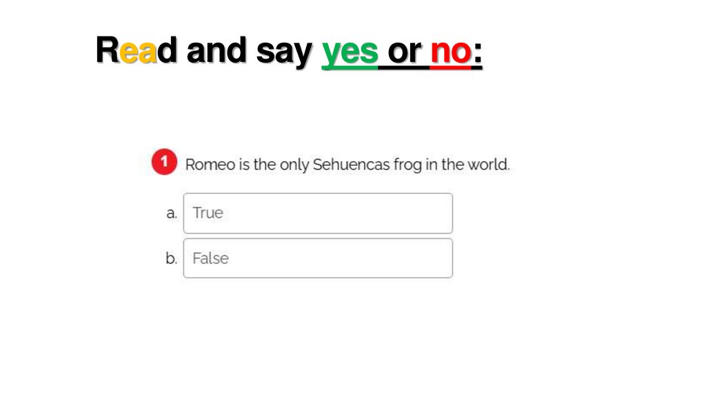 Read and say yes or no: