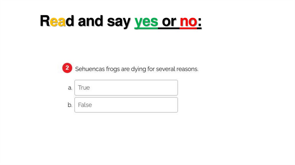 Read and say yes or no: