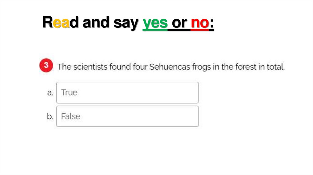 Read and say yes or no: