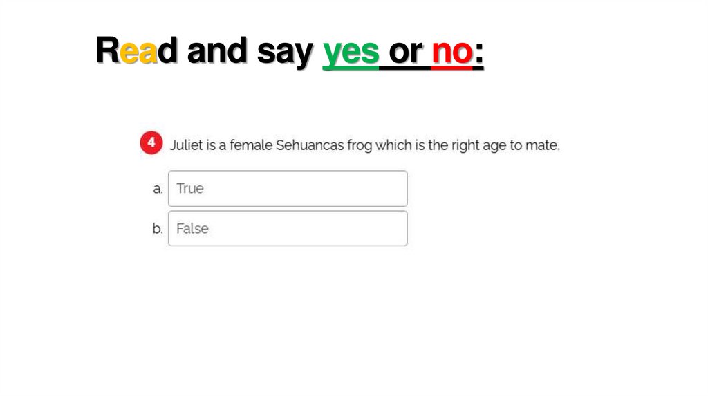 Read and say yes or no: