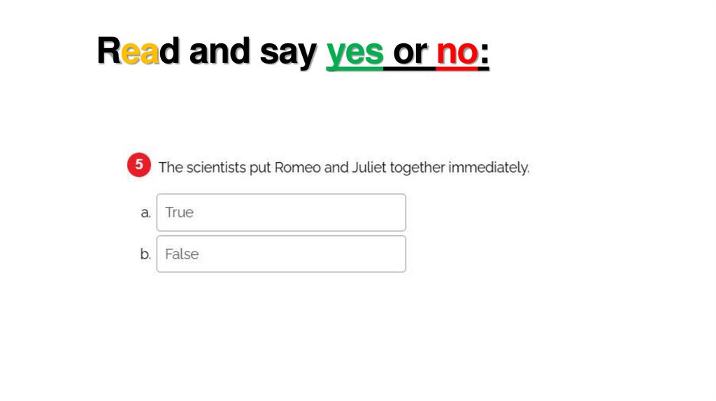 Read and say yes or no: