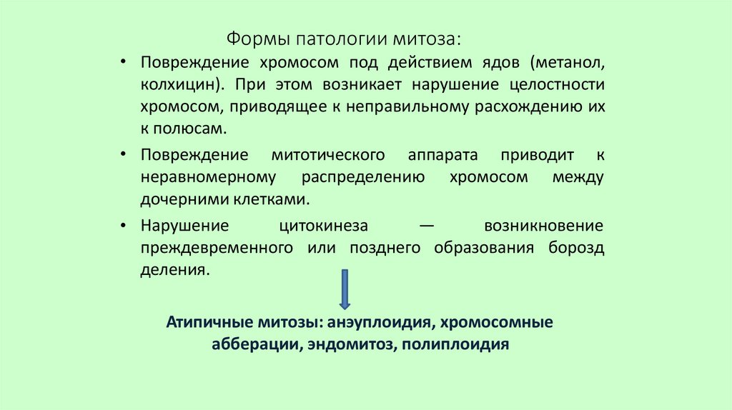 Формы патологии митоза: