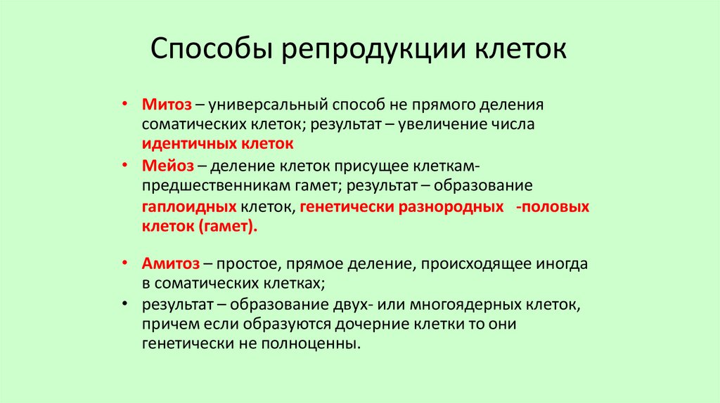 Способы репродукции клеток