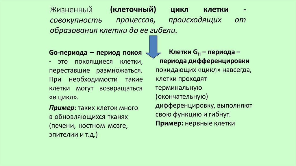 Жизненный совокупность