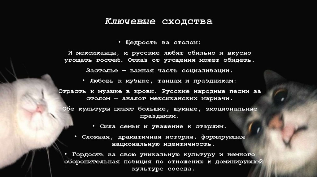 Ключевые сходства