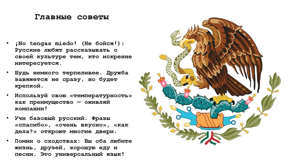 Главные советы