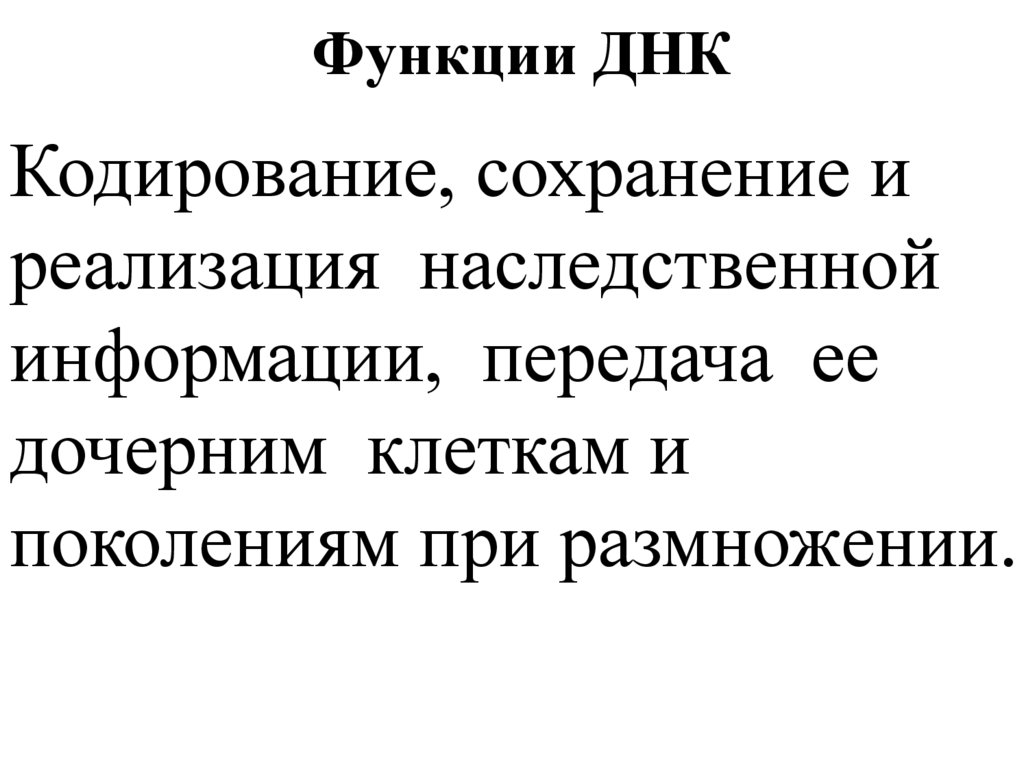 Функции ДНК