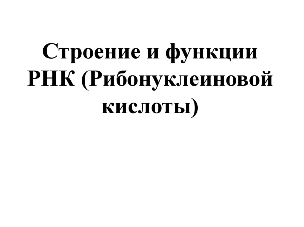 Строение и функции РНК (Рибонуклеиновой кислоты)