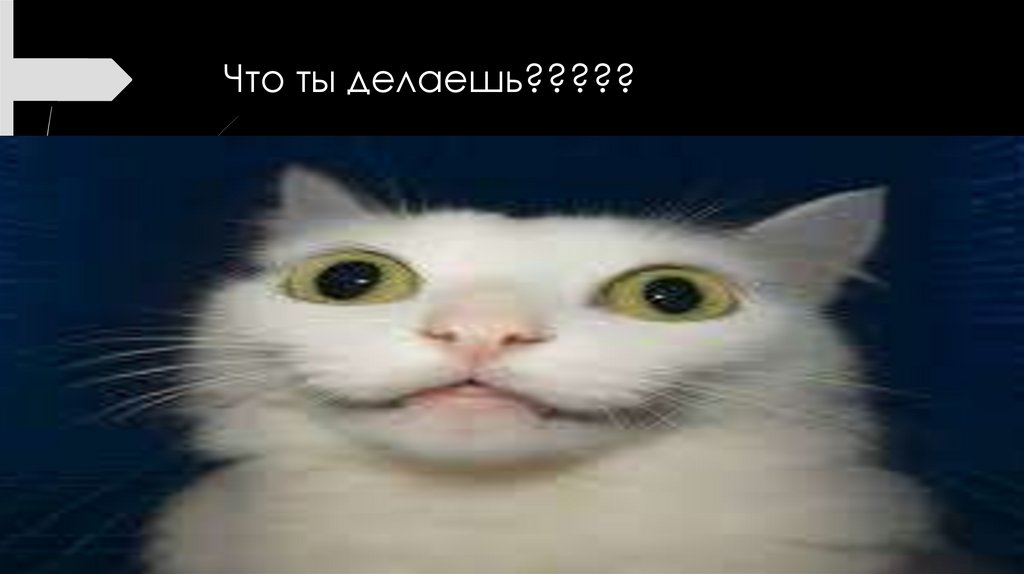 Что ты делаешь?????
