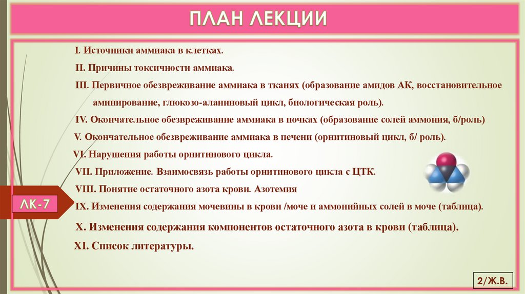 ПЛАН ЛЕКЦИИ