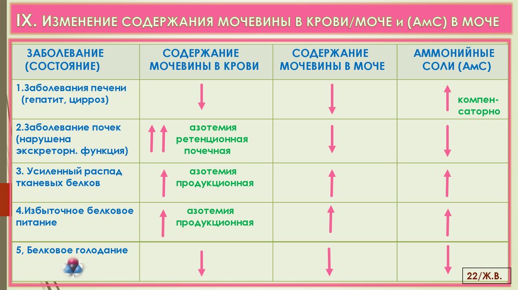 IX. ИЗМЕНЕНИЕ СОДЕРЖАНИЯ МОЧЕВИНЫ В КРОВИ/МОЧЕ и (АмС) В МОЧЕ
