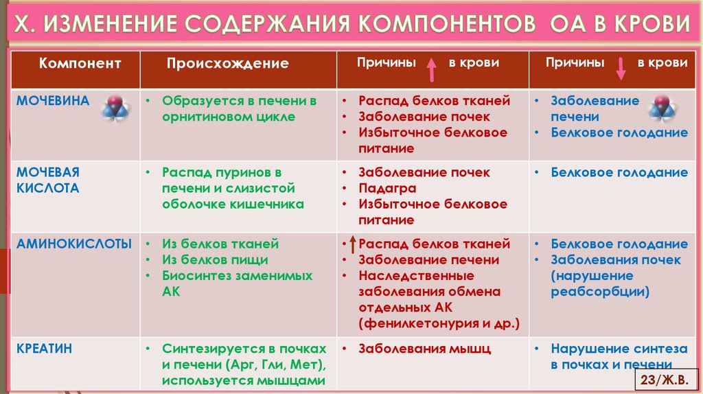 X. ИЗМЕНЕНИЕ СОДЕРЖАНИЯ КОМПОНЕНТОВ ОА В КРОВИ