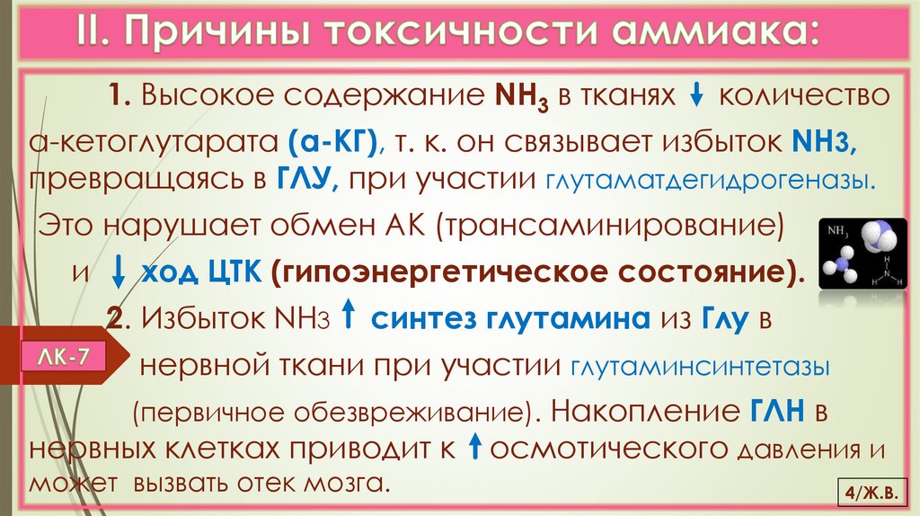 II. Причины токсичности аммиака: