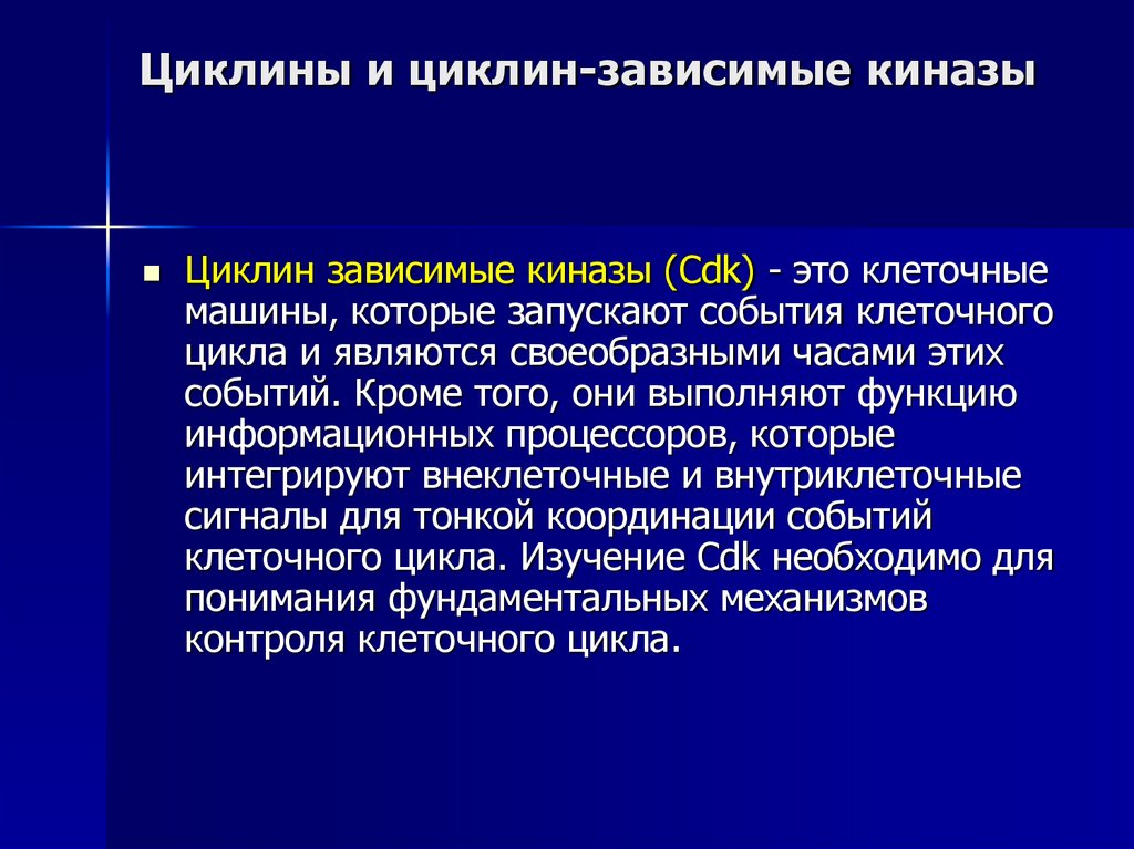 Циклины и циклин-зависимые киназы