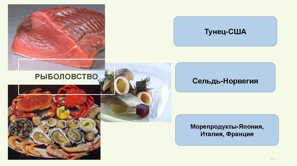 Рыболовство