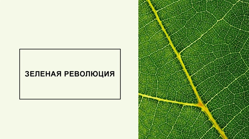Зеленая революция