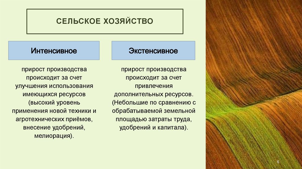 сельское хозяйство