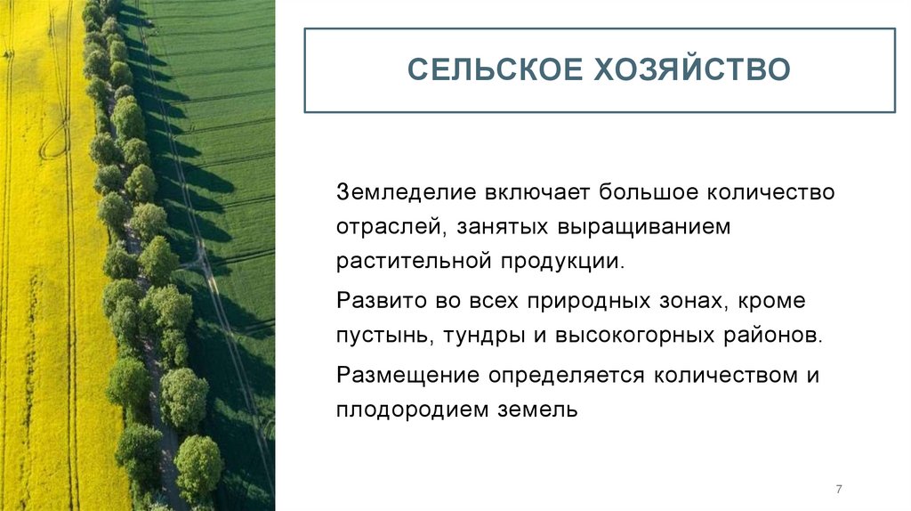 Сельское хозяйство