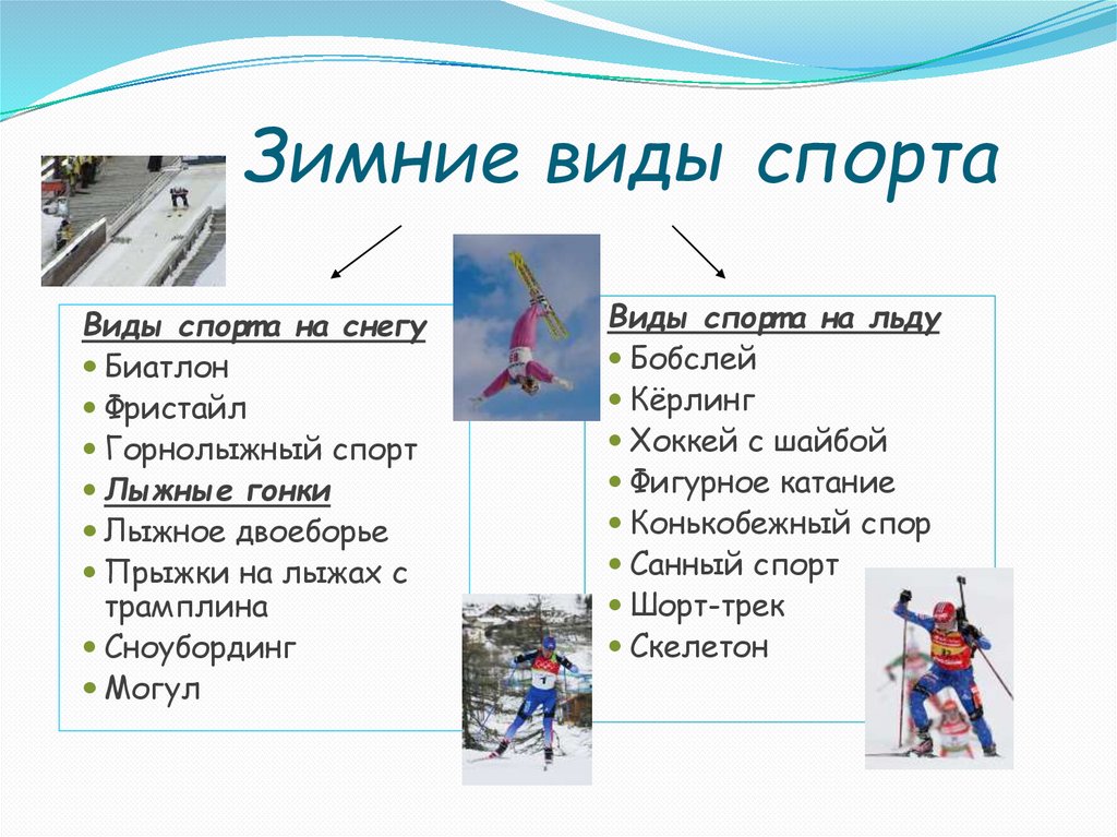 Зимние виды спорта