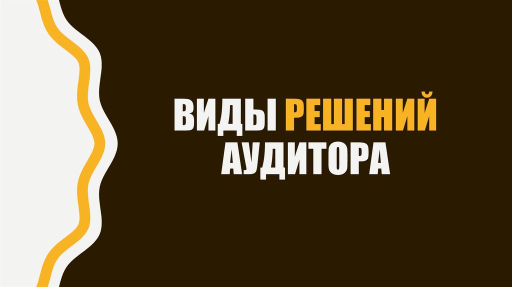 ВИДЫ РЕШЕНИЙ АУДИТОРА