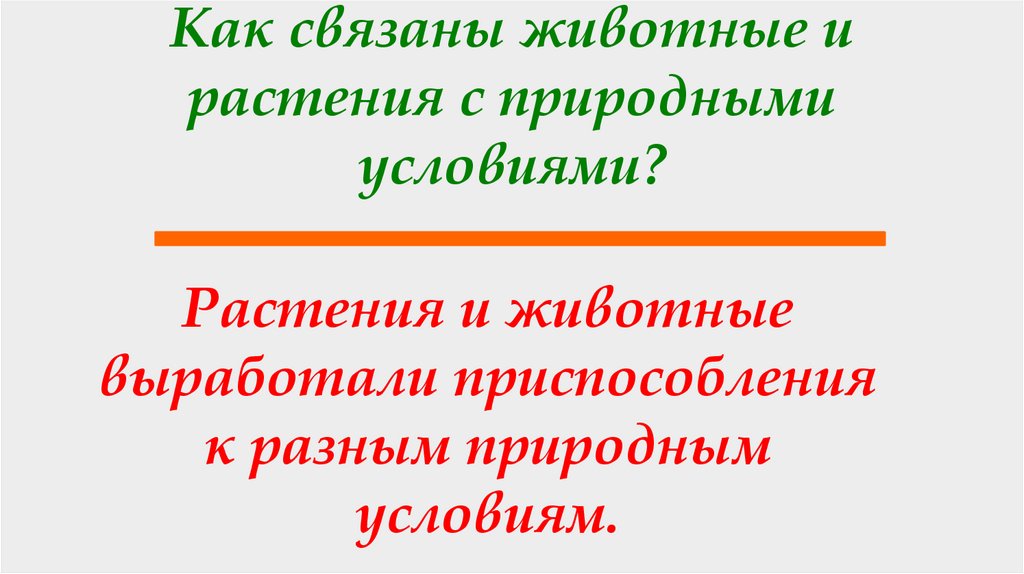 Как связаны животные и растения с природными условиями?