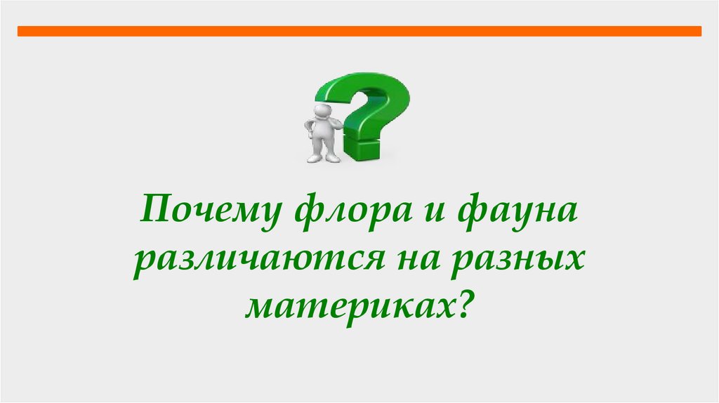 Почему флора и фауна различаются на разных материках?