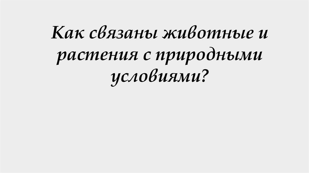 Как связаны животные и растения с природными условиями?