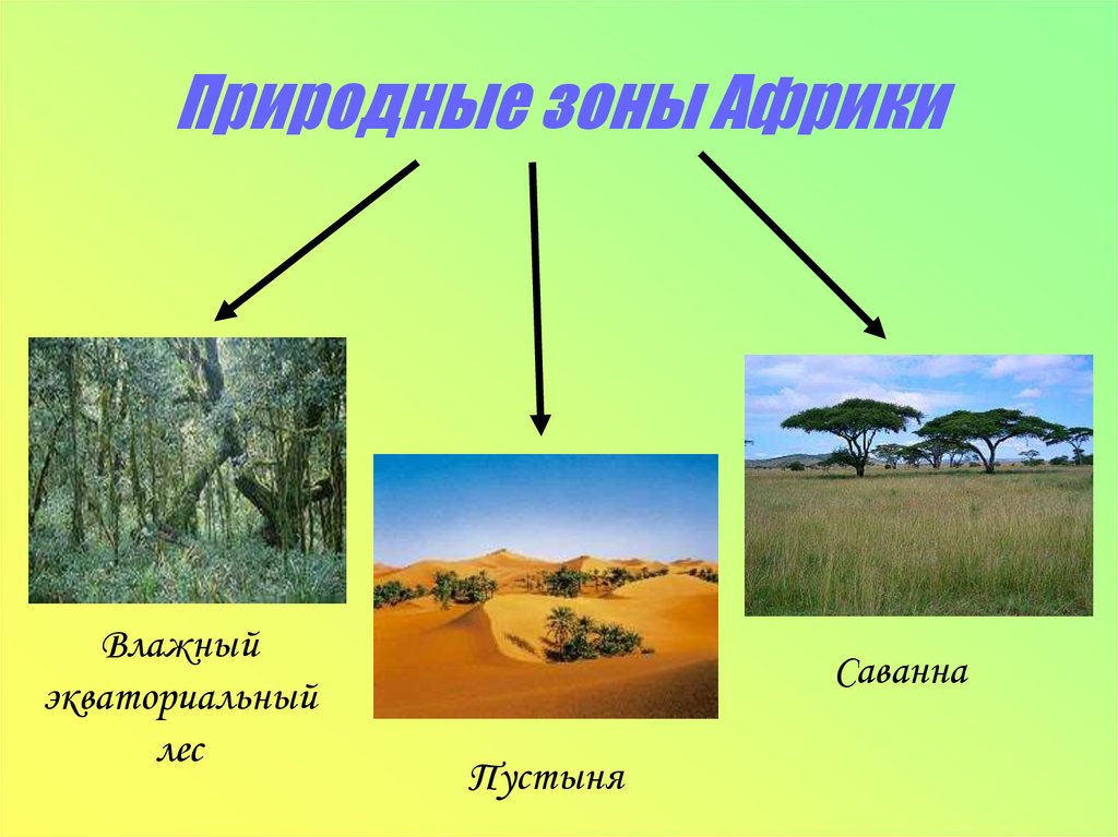 Природные зоны Африки