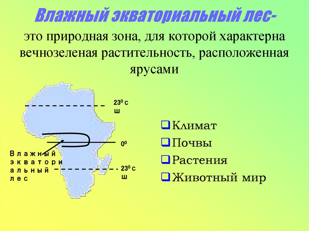Влажный экваториальный лес- это природная зона, для которой характерна вечнозеленая растительность, расположенная ярусами