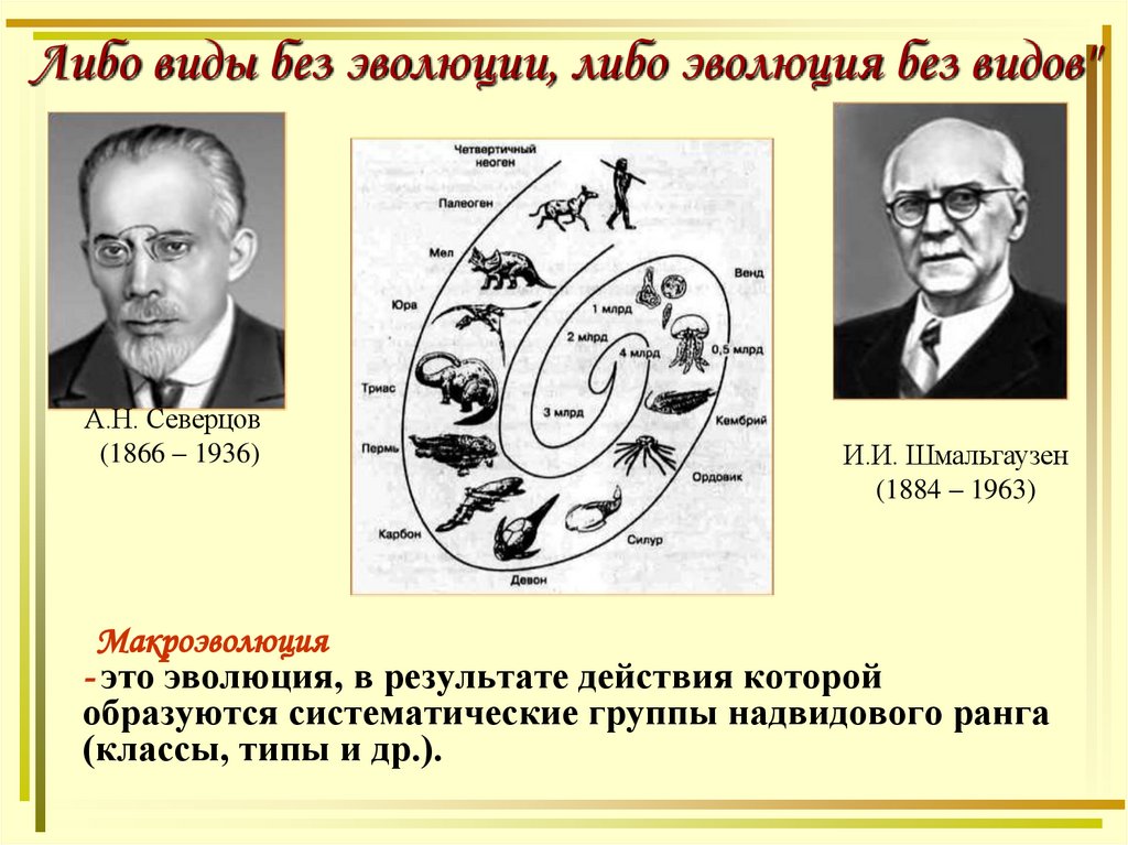 Либо виды без эволюции, либо эволюция без видов"