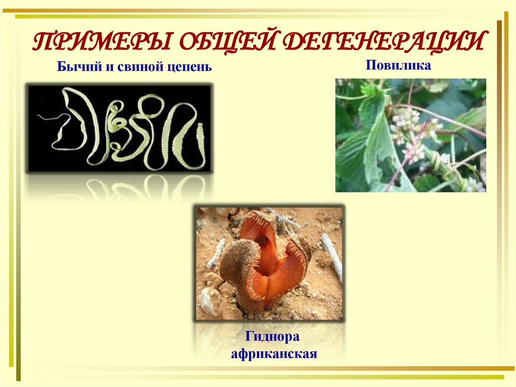 ПРИМЕРЫ ОБЩЕЙ ДЕГЕНЕРАЦИИ