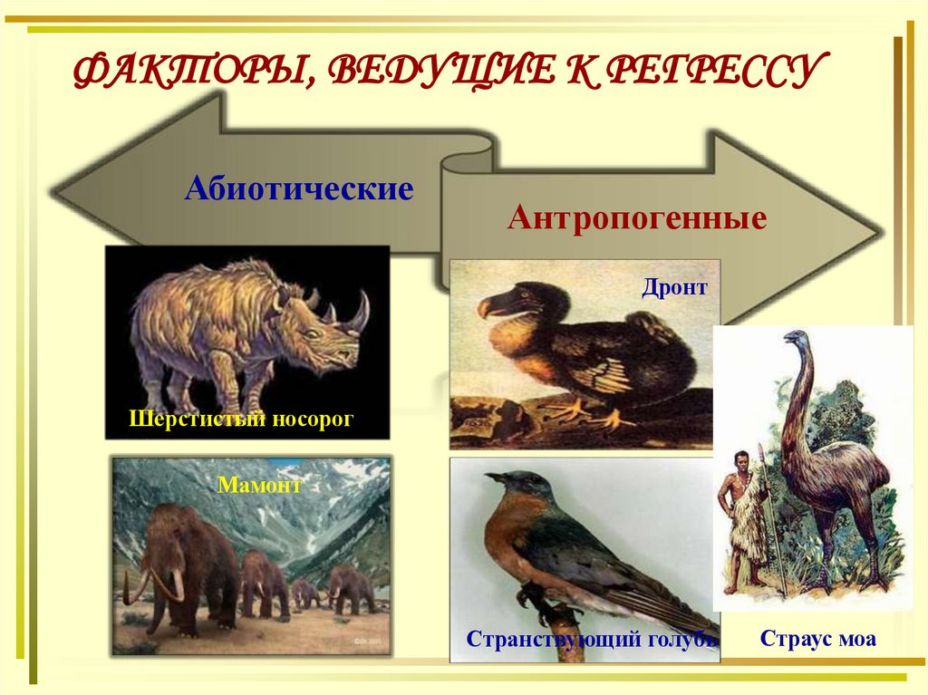 ФАКТОРЫ, ВЕДУЩИЕ К РЕГРЕССУ