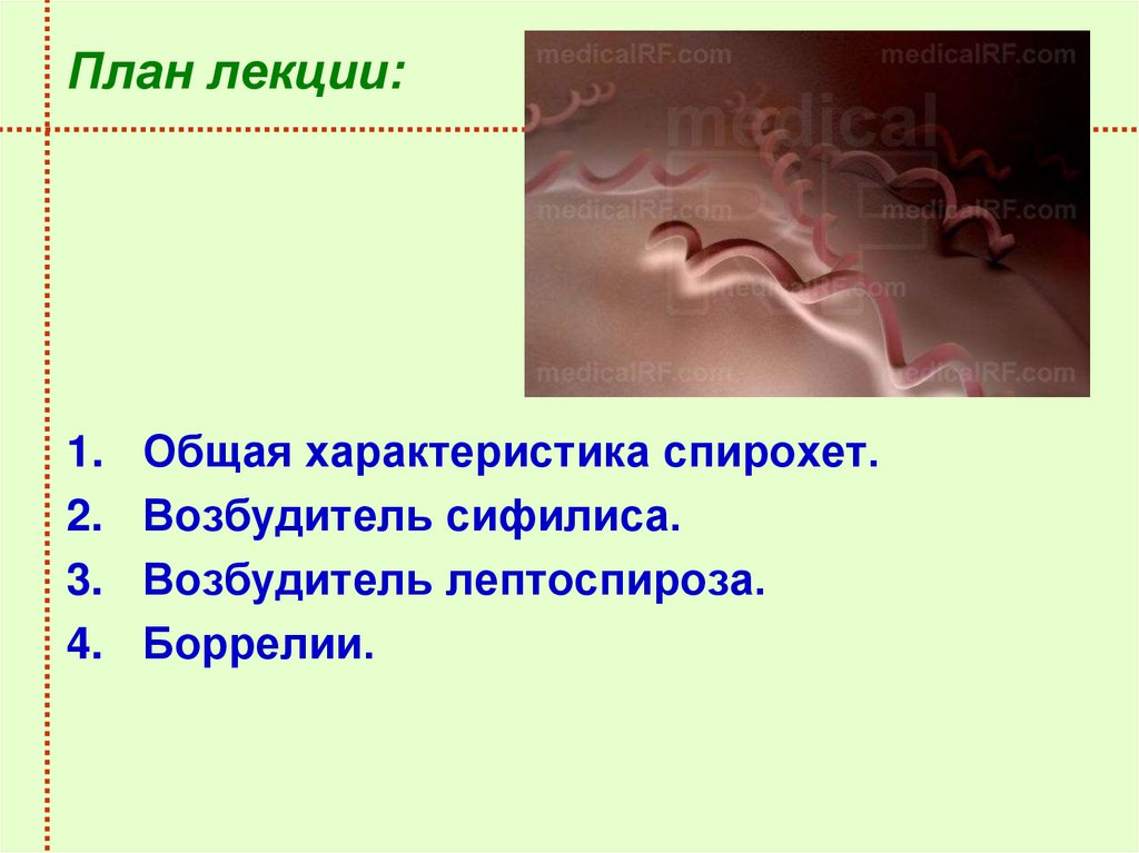 План лекции: