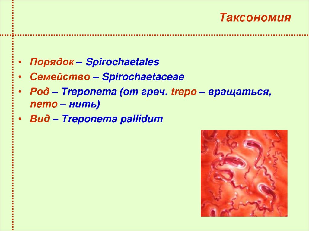 Таксономия