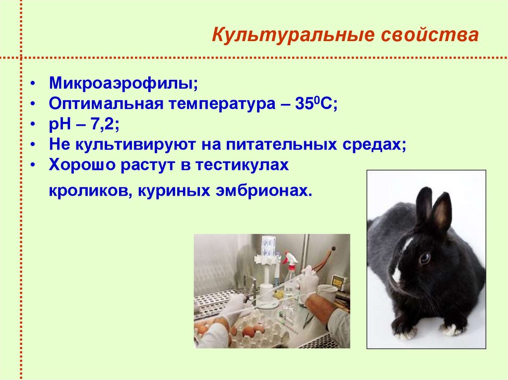 Культуральные свойства