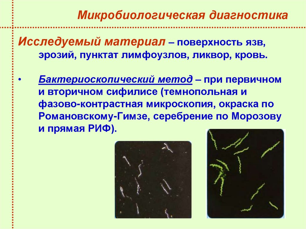 Микробиологическая диагностика