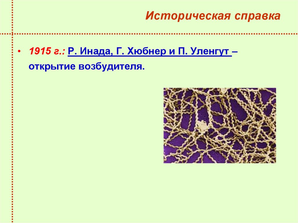 Историческая справка