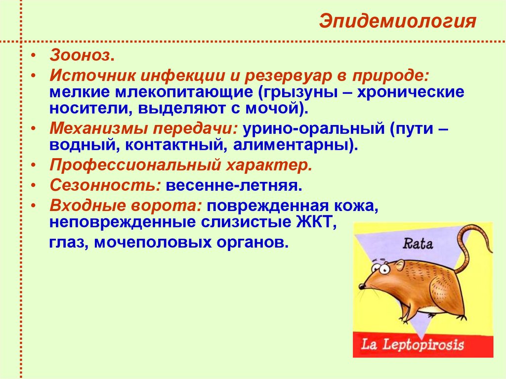 Эпидемиология