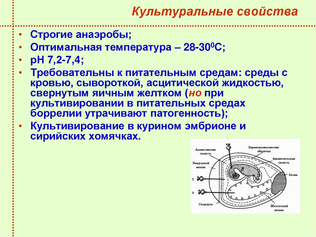 Культуральные свойства