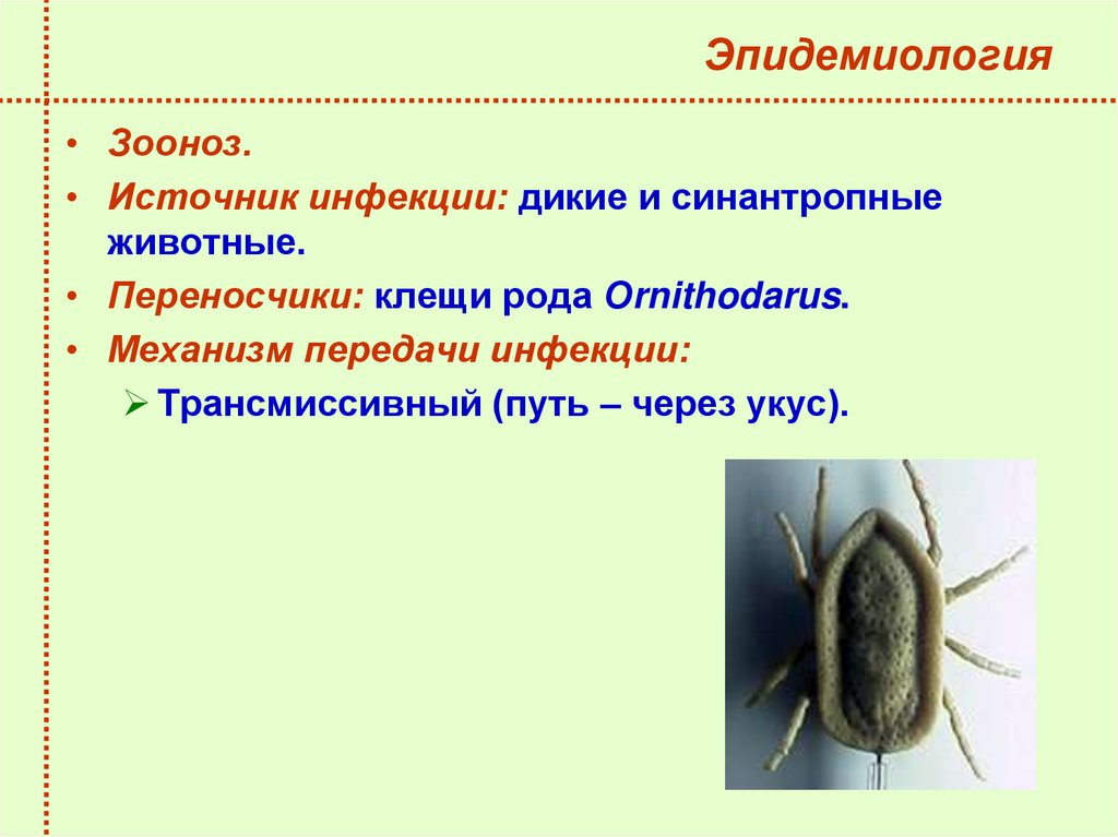 Эпидемиология