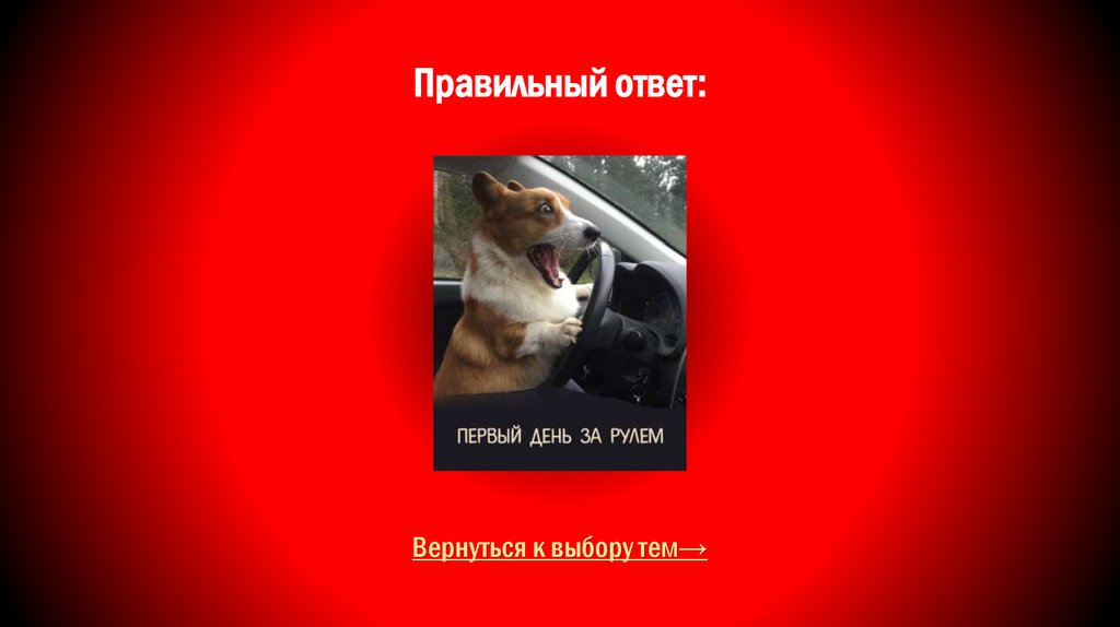 Правильный ответ: