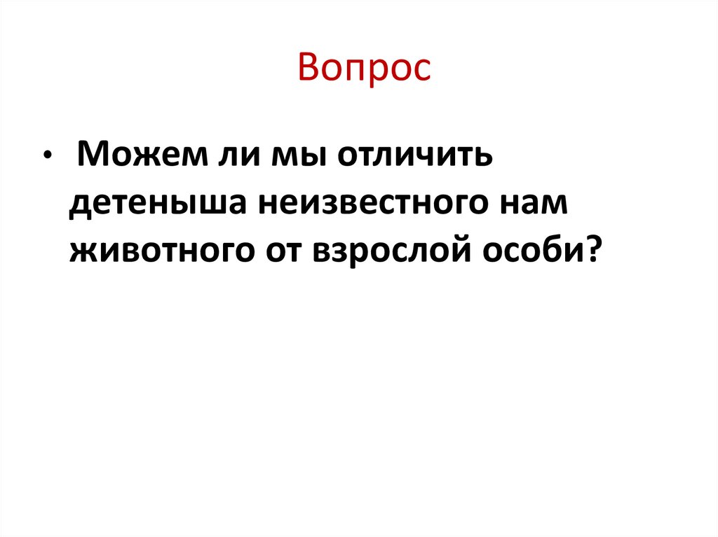 Вопрос
