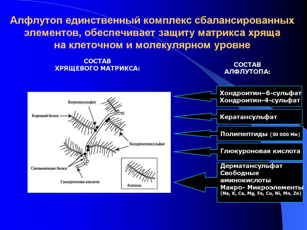 Алфлутоп единственный комплекс сбалансированных элементов, обеспечивает защиту матрикса хряща на клеточном и молекулярном