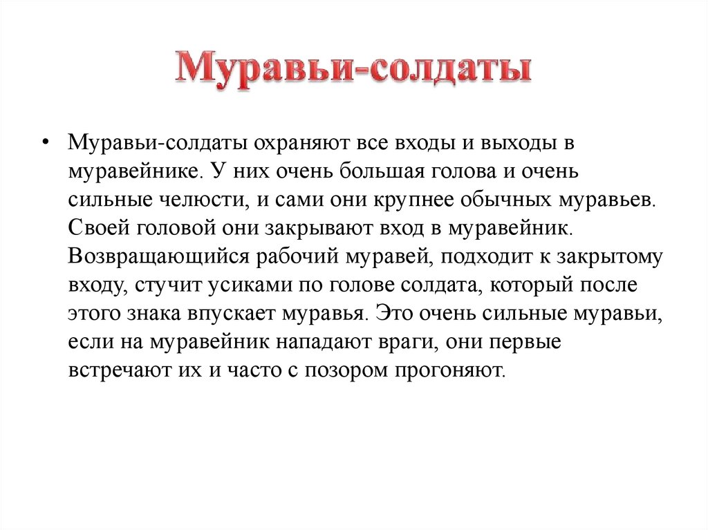 Муравьи-солдаты