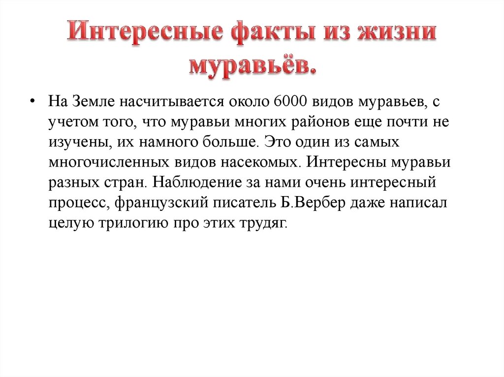 Интересные факты из жизни муравьёв.