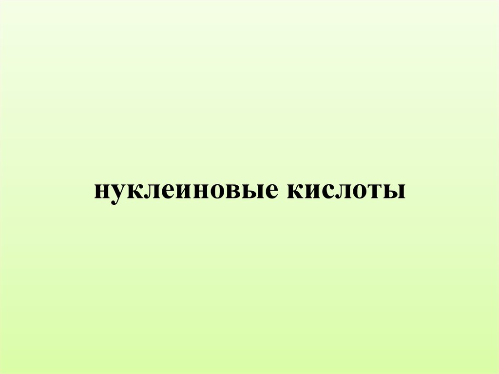нуклеиновые кислоты