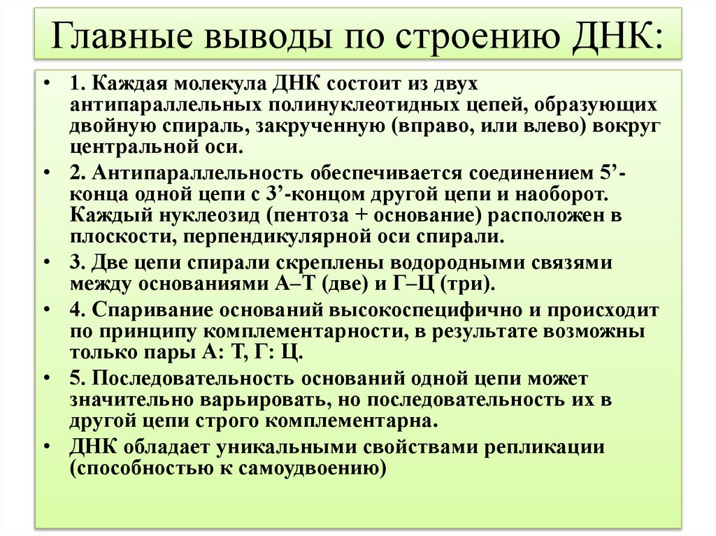 Главные выводы по строению ДНК: